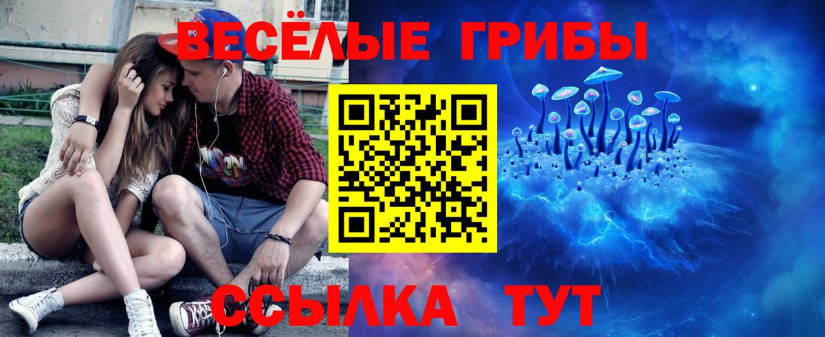 Псилоцибиновые грибы прущие грибы  Вход с VPN  Верхняя Салда 